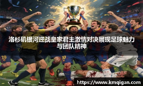 365WM完美体育官方app